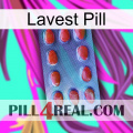 Lavest Pill 06